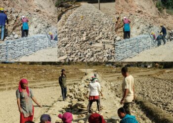 प्रधानमन्त्री रोजगार कार्यक्रम : चिशंखुगढीका ७४ जना श्रमिकलाई रोजगारी