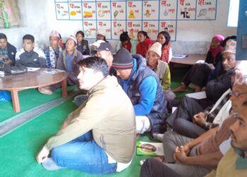 ताप्ली तीनमा व्यवसायीक अकबरे खोर्सानी खेती सम्बन्धी तालिम