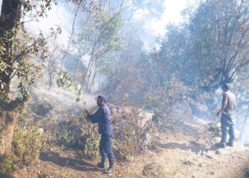 ठाने भिरको डढेलो साँझसम्म नियन्त्रणमा आएन