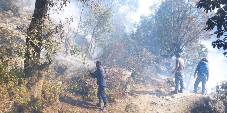 ठाने भिरको डढेलो साँझसम्म नियन्त्रणमा आएन