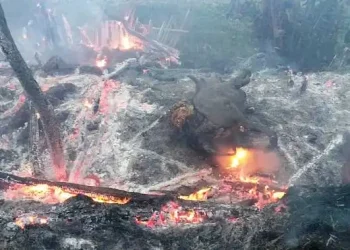 सङ्खुवासभामा आगलागी हुदाँ तीन लाख बराबारको क्षति