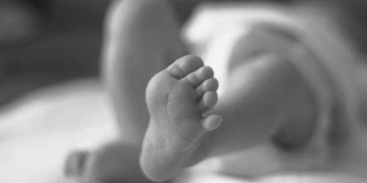 खोटाङमा खाल्डोमा पुरेको अवस्थामा नवजात शिशु भेटियो