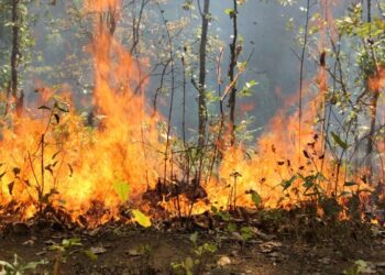 २४ घण्टामा सोलुखुम्बु सहित १५ जिल्लामा आगलागी, ३ जिल्लामा डढेलो