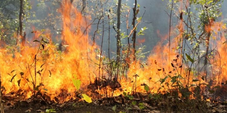 २४ घण्टामा सोलुखुम्बु सहित १५ जिल्लामा आगलागी, ३ जिल्लामा डढेलो