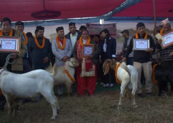 ‘राष्ट्रिय बाख्रा दिवस ’बोका प्रदर्शनी गरेर मनाइयो