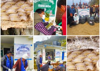 सोताङ – २ मा माटो परिक्षण तथा बाली उपचार शिविर