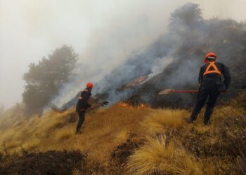 जिम्बिर जोडेनी सामुदायिक वनमा लागेको डढेलो तीन दिन सम्म नियन्त्रण बाहिर