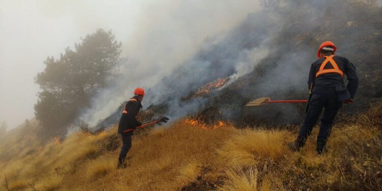 जिम्बिर जोडेनी सामुदायिक वनमा लागेको डढेलो तीन दिन सम्म नियन्त्रण बाहिर