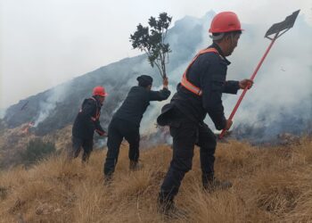 जिम्बिर जोडेनी सामुदायिक वनमा डढेलो, नियन्त्रणको प्रयास जारी