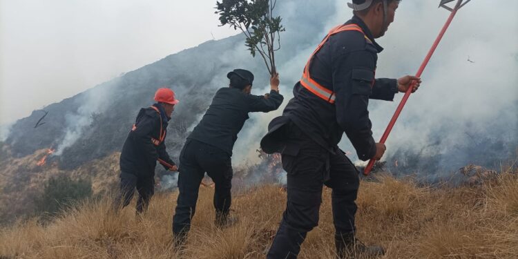जिम्बिर जोडेनी सामुदायिक वनमा डढेलो, नियन्त्रणको प्रयास जारी