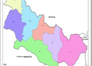  लिजाको मुल्याङ्कनमा गोलन्जोरले प्राप्त गर्यो ६५ प्रतिशत अंक