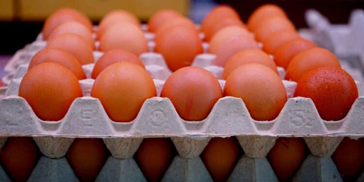 भाेलि देखि अण्डाको मूल्य बढ्ने