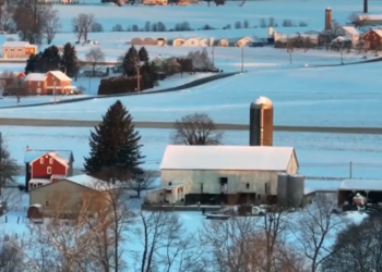 अमेरिकामा शितलहरको कहर, मृत्यु हुनेको संख्या १३ पुग्यो