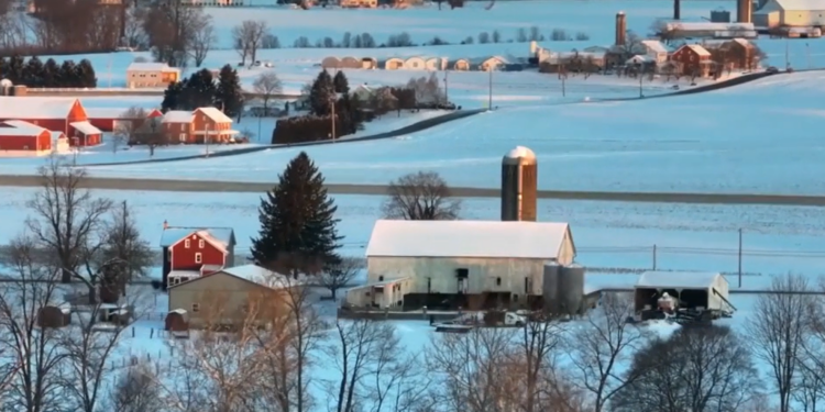 अमेरिकामा शितलहरको कहर, मृत्यु हुनेको संख्या १३ पुग्यो