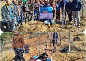 गोराखानीका कृषकलाई “ स्याउ बगैँचा सुढृदिकरण तथा व्यवस्थापन” तालिम