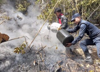  जिम्बिर जडेनी सामुदायिक वनमा आगलागी, आगो निभाउन बाल्टिन र ड्रम बोकेर गए स्थानीय 