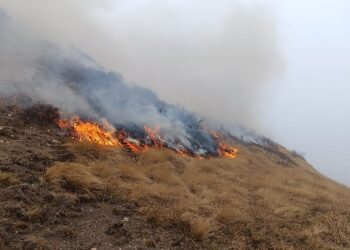 पत्तालेमा भिषण डढेलो