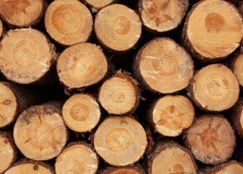 सोलुबाट तीन आर्थिक बर्षमा ८ लाख बढी घनफिट काठ उत्पादन