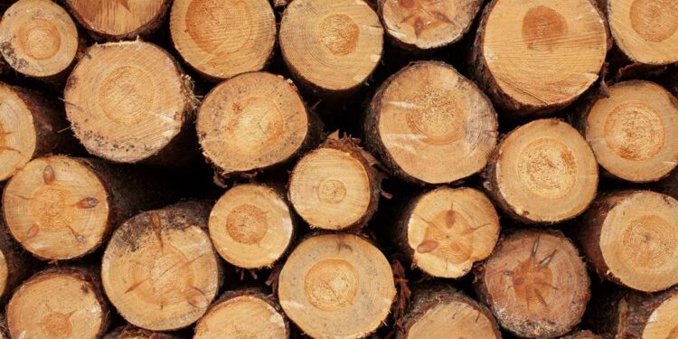 सोलुबाट तीन आर्थिक बर्षमा ८ लाख बढी घनफिट काठ उत्पादन