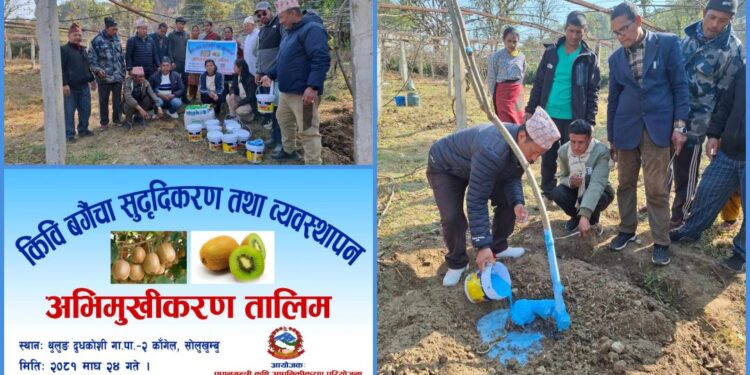 प्रधानमन्त्री कृषि आधुनिकीकरण ओखलढुंगााको आयोजनामा किवी सम्बन्धी तालिम सम्पन्न
