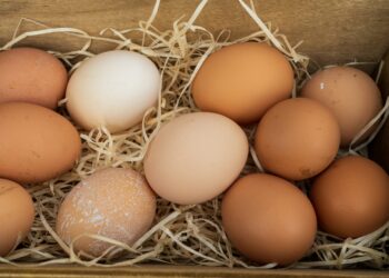 भारतीय अण्डा भित्रिएपछि अण्डा सस्तियाे