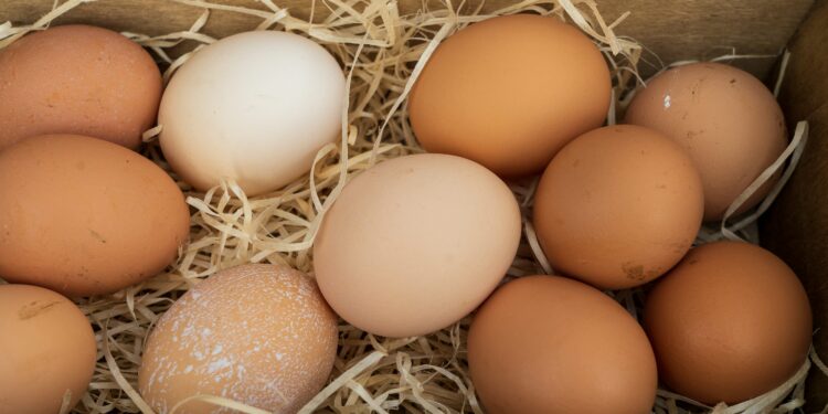 भारतीय अण्डा भित्रिएपछि अण्डा सस्तियाे