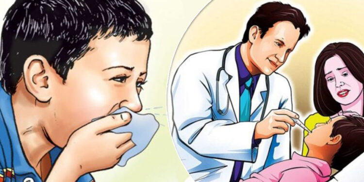 माउण्ट एभरेष्ट स्कुल भाइरल ज्वरोका कारण बन्द