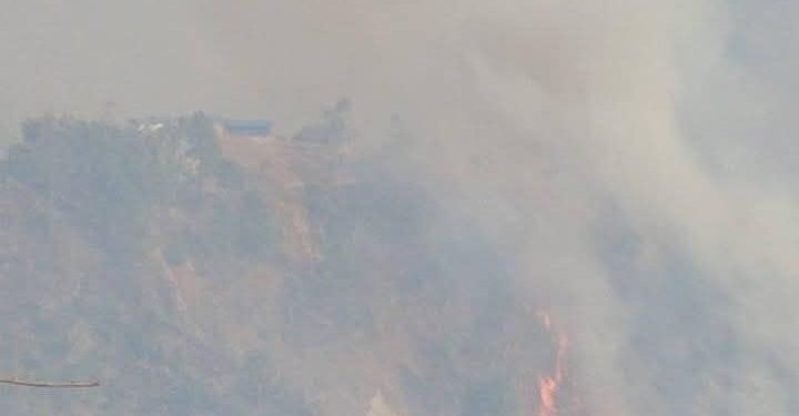 डिकुवामा भयानक डढेलाे, १ विद्यालय ६ घर जलेर नष्ट