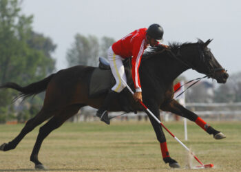 आज घोडे जात्रा मनाइँदै, यस्तो छ इतिहास