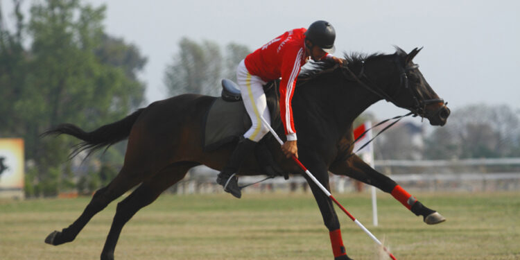 आज घोडे जात्रा मनाइँदै, यस्तो छ इतिहास