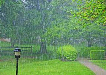 आजको मौसम : यी तीन प्रदेशमा वर्षाको सम्भावना