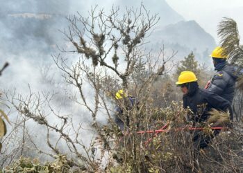 जिम्बिर जोडेनी वनमा लागेको डढेलो तीन दिन पछि नियन्त्रणमा