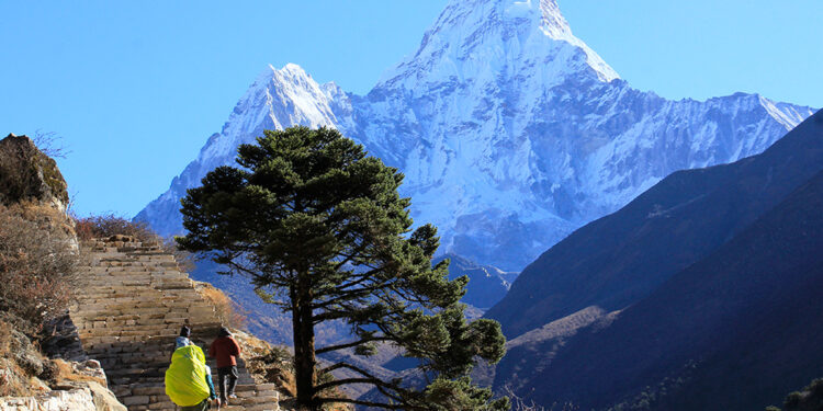 यस वर्षको वसन्तकालीन यामका लागि हिमाल आरोहण अनुमति शुरु