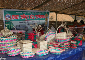 दिक्तेल बजारमा ३५ बुँदे घोषणापत्र सहित सकियो राष्ट्रिय बाँस सम्मेलन