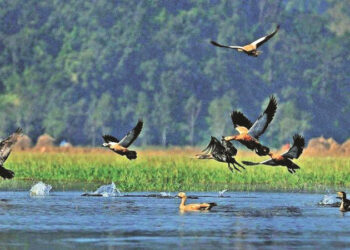 उदयपुरको त्रियुगाले जलाधार संरक्षणको कामलाई उच्च प्राथमिकता दिँदै