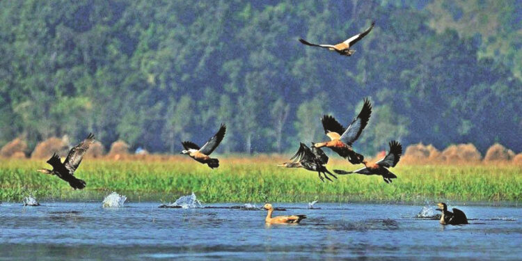 उदयपुरको त्रियुगाले जलाधार संरक्षणको कामलाई उच्च प्राथमिकता दिँदै