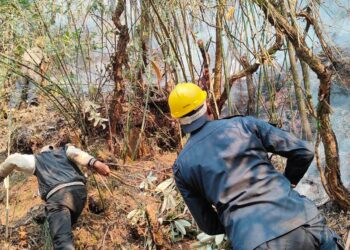 लिखुपिकेमा व्यत्तिगत जंगलमा आगलागी, नियन्त्रणको प्रयास जारी