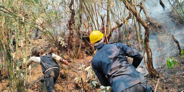 लिखुपिकेमा व्यत्तिगत जंगलमा आगलागी, नियन्त्रणको प्रयास जारी