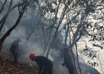 रणेममा लागेको डढेलो नियन्त्रण गर्न स्थानीयको गुहार, प्रहरी देखियो सक्रिय