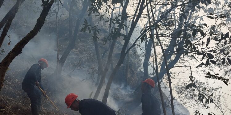 रणेममा लागेको डढेलो नियन्त्रण गर्न स्थानीयको गुहार, प्रहरी देखियो सक्रिय