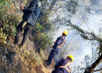 सोलुका दुई स्थानमा आगलागी, नियन्त्रणको प्रयास जारी