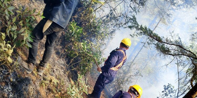 सोलुका दुई स्थानमा आगलागी, नियन्त्रणको प्रयास जारी