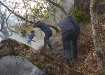 हुगां ताम्लाङ सामुदायिक वनमा लागेको डढेलो नियन्त्रणमा