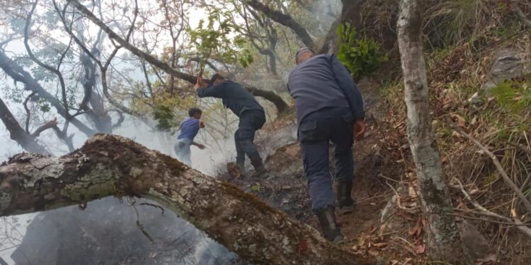 हुगां ताम्लाङ सामुदायिक वनमा लागेको डढेलो नियन्त्रणमा