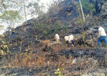 माप्यमा व्यक्तिगत जंगलमा आगलागी, नियन्त्रणको प्रयास जारी
