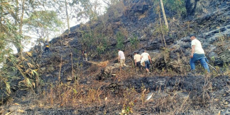 माप्यमा व्यक्तिगत जंगलमा आगलागी, नियन्त्रणको प्रयास जारी