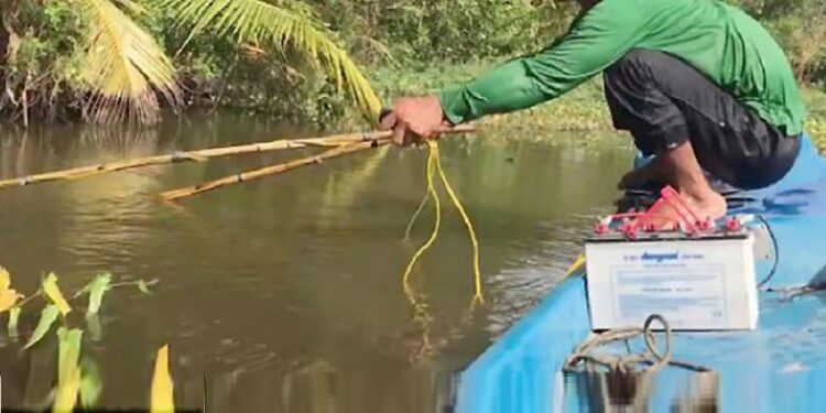 करेन्ट लगाएर माछा मार्नेलाई एक लाख जरिवाना