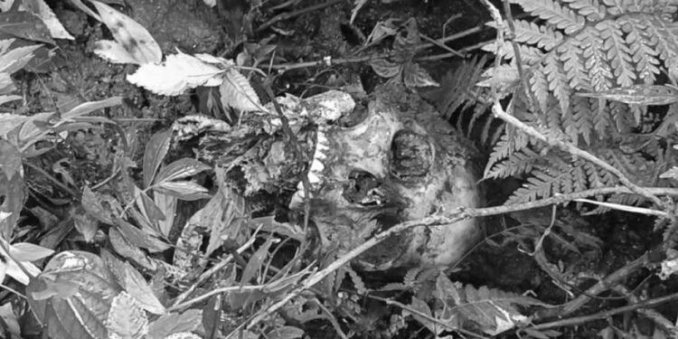 संखुवासभाको पाँचखपनमा यस्तो अवस्थामा भेटियो मानव कंकाल