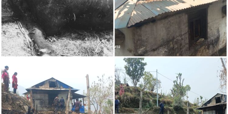नेचासल्यान ५ मा आगलागी, घरमा क्षति,  भैँसी सक्त घाईते