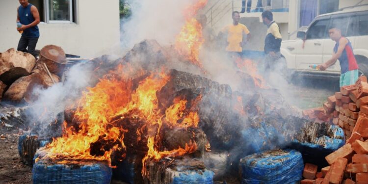 उदयपुरमा बरामद गरिएको एक हजार किलो बढी गाँजा जलाएर नष्ट